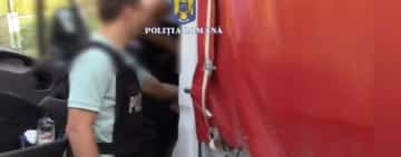 Percheziții în Slănic și în trei comune limitrofe, la suspecți de tăiere ilegală de arbori și fals informatic