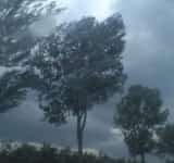 Cod portocaliu de vijelii și ploi torențiale în mai multe localități din Prahova. S-a emis și mesaj Ro-Alert