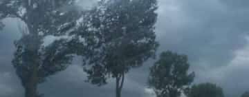 Cod portocaliu de vijelii și ploi torențiale în mai multe localități din Prahova. S-a emis și mesaj Ro-Alert