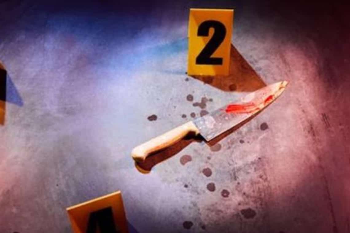 Tinerii care l-au ucis cu zeci de lovituri de cuțit pe un băiat din comuna Berceni, condamnați de Tribunalul Prahova. Decizia nu este definitivă