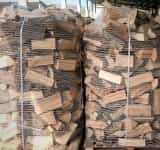 Lemnele de foc vor fi la mare căutare în luna septembrie! Cât costă metrul cub la Direcția Silvică Prahova