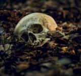 Descoperire macabră/ Un craniu uman a fost găsit într-o șoavă din comuna Lapoș