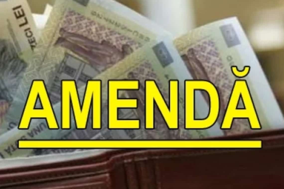 Părinții a doi minori care au distrus în miez de noapte un foișor din lemn, în Ploiești, amendați pentru nesupravegherea copiilor