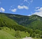 Fonduri guvernamentale pentru înființarea de stâne și pentru alte activități specifice zonelor montane