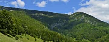 Fonduri guvernamentale pentru înființarea de stâne și pentru alte activități specifice zonelor montane
