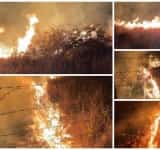 Incendiu de proporții pe dealurile din Tohani. Localnicii se luptă cu flăcările, cot la cot cu pompierii! 