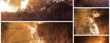 Incendiu de proporții pe dealurile din Tohani. Localnicii se luptă cu flăcările, cot la cot cu pompierii! 