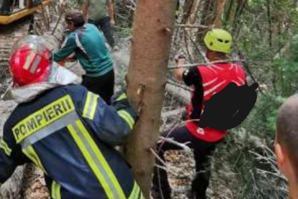 Provița de Sus/ Sfârșit cumplit pentru un bătrân de 83 de ani. A murit strivit de un arbore