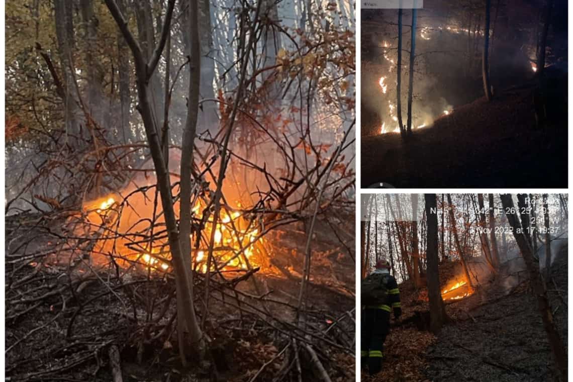 Zi de foc pentru pompierii prahoveni. Zeci de hectare de teren, cuprinse de flăcări, în Lapoș și Jugureni 