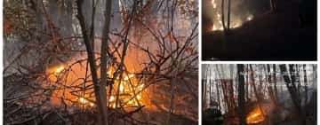 Zi de foc pentru pompierii prahoveni. Zeci de hectare de teren, cuprinse de flăcări, în Lapoș și Jugureni 