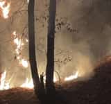 Incendiu în Drajna de Jos. Ard saci cu haine depozitați într-o curte nelocuită