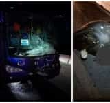 Șocant! Un taur lăsat liber pe DN1 a provocat un accident grav! 
