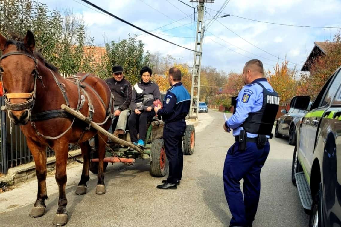 Zeci de proprietari de cai din patru comune prahovene, instruiți de polițiștii de la Protecția Animalelor