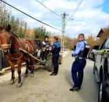 Zeci de proprietari de cai din patru comune prahovene, instruiți de polițiștii de la Protecția Animalelor
