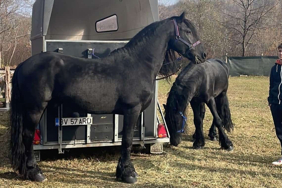 Foto/ Vrei să ieși din casă, la aer curat? Mergi la Breaza, unde e ultima zi a Festivalului Fermierului Muntean!