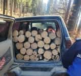Jandarmii au prins alți hoți de lemne cu portbagajul plin, în mai multe localități din Prahova