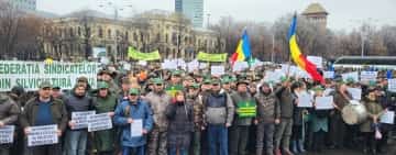Sindicaliștii din Romsilva protestează împotriva intenției de a transforma Regia Națională a Pădurilor în societate comercială