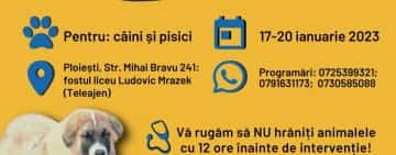 Prima campanie din acest an de sterilizare a câinilor și a pisicilor, la Ploiești