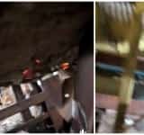 S-a reparat CAF 2. Din nou. Când vor avea ploieștenii caloriferele calde? 