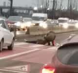 Femeie accidentată pe trecerea pentru pietoni, la ieșire din Ploiești, în apropiere de sensul giratoriu suspendat