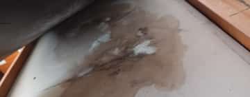 Galerie foto: Mizerie, saltele impregnate cu urină, bucătării infecte. Asta au găsit comisarii de la Protecția Consumatorilor în unele cămine de bătrâni din Regiunea Sud Muntenia