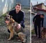 Bella, ciobănescul german al ISU Prahova specializat în căutare-salvare