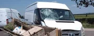 Accident între un camion plin cu cărămidă și o căruță, în comuna Ștefești