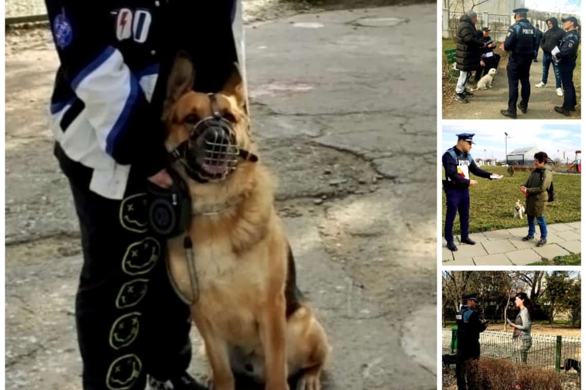 Proprietarii de câini au și drepturi, dar și obligații. Campanie de informare a polițiștilor de la Protecția Animalelor, în parcurile din Ploiești
