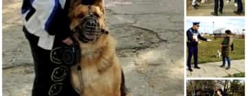 Proprietarii de câini au și drepturi, dar și obligații. Campanie de informare a polițiștilor de la Protecția Animalelor, în parcurile din Ploiești