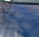 Bătălia pentru locurile de parcare/ Un ploieștean și-a găsit autoturismul împroșcat cu vopsea albă pe capotă, plafon și pe uși!