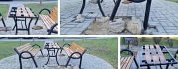 Ploieștiul a ajuns orașul vandalilor! Ce face Poliția Locală?