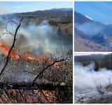 Incendiu la Comarnic. Ard 10 hectare de vegetație! 