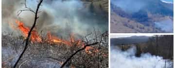 Incendiu la Comarnic. Ard 10 hectare de vegetație! 