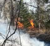 Zeci de jandarmi vin în sprijinul pompierilor pentru stingerea incendiului din Comarnic/ video