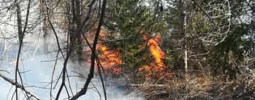 Zeci de jandarmi vin în sprijinul pompierilor pentru stingerea incendiului din Comarnic/ video