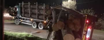 Coliziune între un autotren și un tren de persoane, în comuna Măgurele