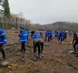 Sute de puieți de stejar, plantați de jandarmii prahoveni în zona Cocorăștii Mislii, la aniversarea a 173 de ani de la înființarea Jandarmeriei Române