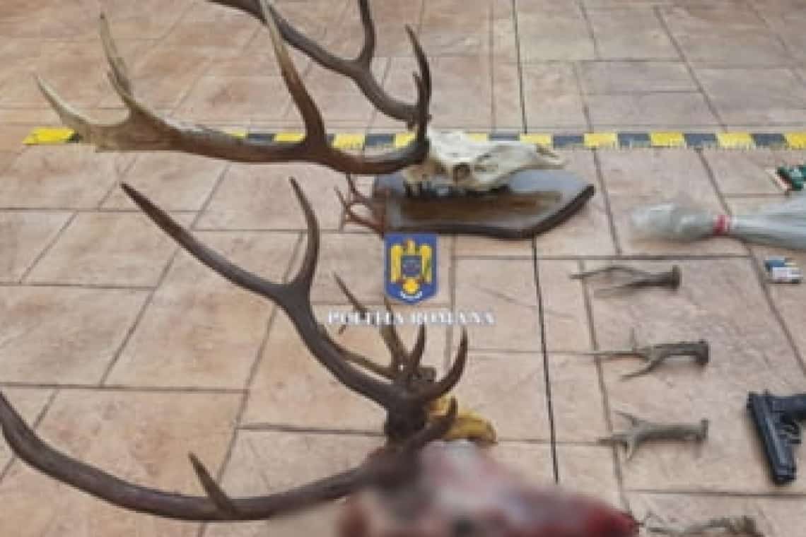 Trei braconieri din Filipeștii de Târg, cercetați de polițiștii prahoveni