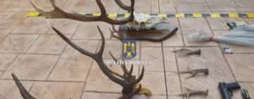 Trei braconieri din Filipeștii de Târg, cercetați de polițiștii prahoveni
