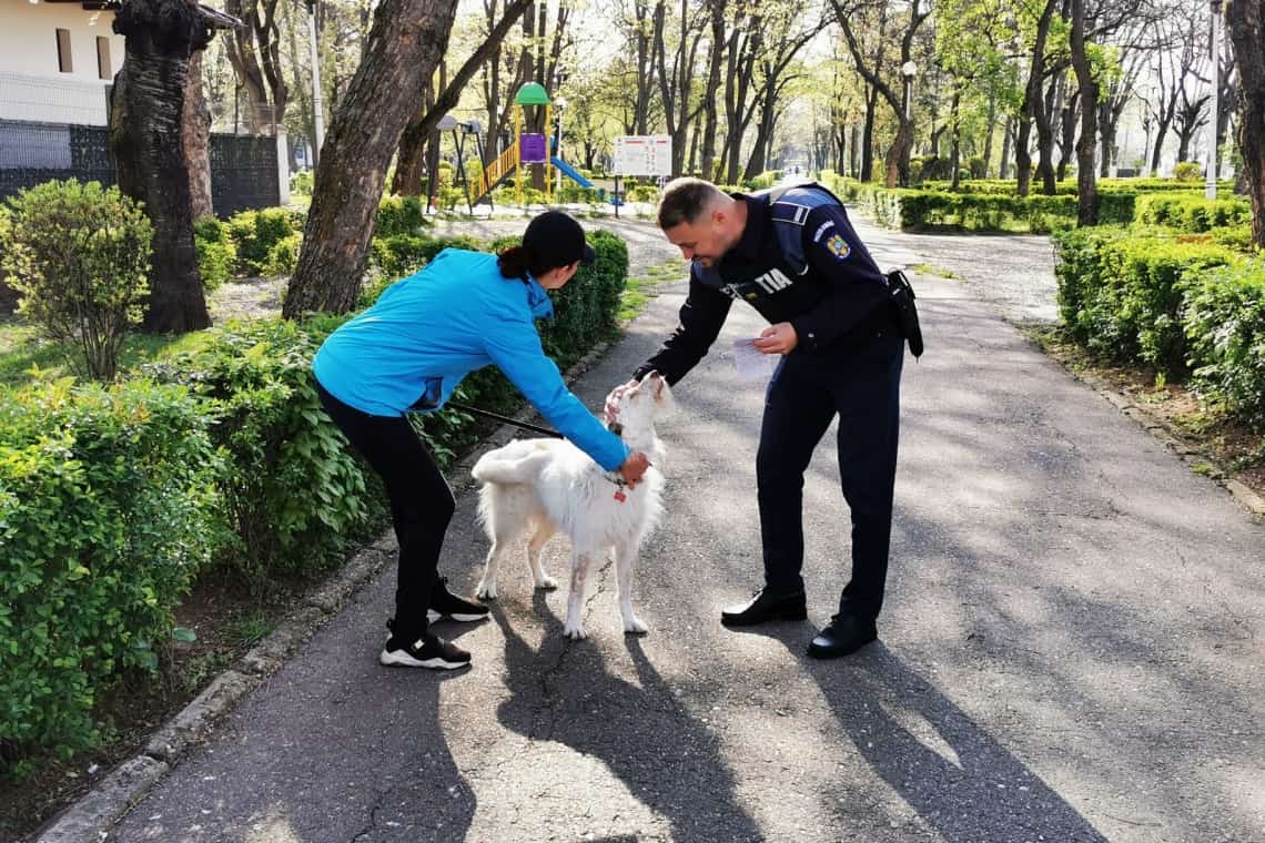 Proprietarii de câini din Ploiești, atenționați de polițiști să respecte drepturile animalelor, dar și să prevină orice incident în spațiile publice