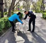 Proprietarii de câini din Ploiești, atenționați de polițiști să respecte drepturile animalelor, dar și să prevină orice incident în spațiile publice