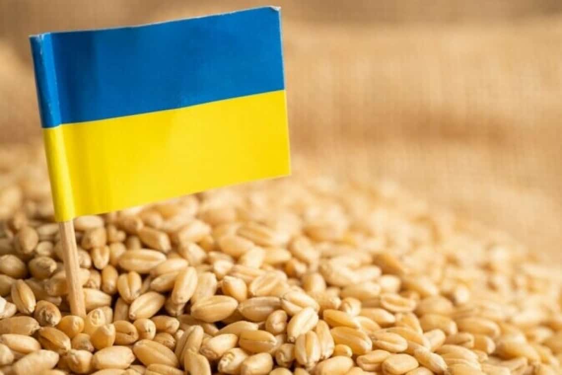 PSD va cere în Coaliția de guvernare suspendarea importurilor de produse agroalimentare din Ucraina