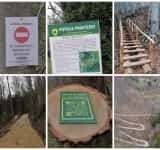 Poteca de promenadă a prințesei Martha Bibescu, deschisă pentru public, la Muzeul Cinegetic Posada