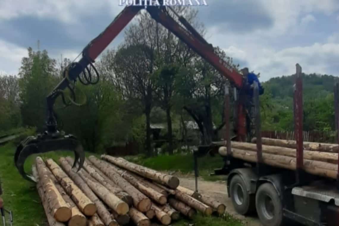 Zeci de metri cubi de lemn, confiscate de polițiștii prahoveni în urma unui control, în zona Vălenii de Munte