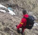 Intervenție mai puțin obișnuită a salvamontiștilor din Bușteni. ”Victima”: un câine căzut într-o prăpastie!