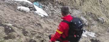 Intervenție mai puțin obișnuită a salvamontiștilor din Bușteni. ”Victima”: un câine căzut într-o prăpastie!