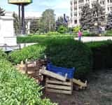 Lădițe din lemn și plastic - ”ascunse”, grămadă, la doi pași de Palatul Administrativ din Ploiești