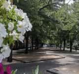 Foișoarele oribile din centrul Ploieștiului au fost demolate. Pe când vor dispărea și postamentele?