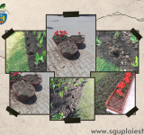 Hoții au dat din nou iama în florile plantate pe domeniul public de SGU Ploiești