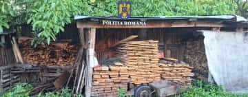 Nouă percheziții, în Vălenii de Munte, la persoane bănuite de infracțiuni silvice, de falsuri și delapidare (video)